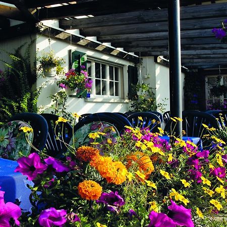 Hotel Garni Sonne Münsterlingen Eksteriør bilde